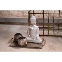 FLAT TRAY ALUMINIUM SILVER 49x26xH4cm IN