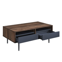 GROOVES COFFEE TABLE 2DRAWERS CHIPBOARD WITH MELAMINE CARTA WALNUT GREY METAL 110x60xH45cm MY