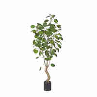 MONEY POCKET ARTIFICIAL PLANT IN POT PE GREEN H180