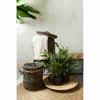 DAMAN BASKET WITH LID SET 2PCS SEAGRASS NATURAL BL