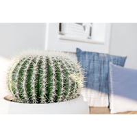FEROCACTUS ARTIFICIAL PLANT FABRIC PLASTIC GREEN W