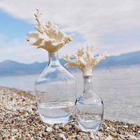 CORALLI BOTTLE WITH LID POLYRESIN GLASS TRANSPAREN