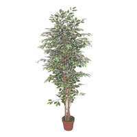 FICUS ARTIFICIAL PLANT POLYESTER PE/PP GREEN H170c