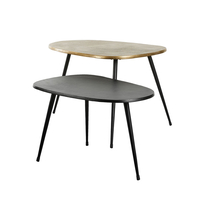 CURVE COFFEE TABLE SET 2PCS BLACK BRASS 70x49xH47cm IN