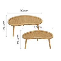 KAMIRA SIDE TABLE SET 2PCS RATTAN NATURAL MDF 90x5