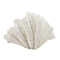 CORALLI VASE RESIN WHITE 57x31xH36cm PRC