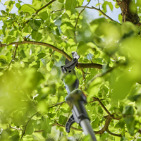 Battery Telescopic Pruning Loppers HighCut 250/18V P4A Ready-To-Use Set