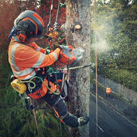 ARBORIST ШЛЕМ, SPIRE VENT