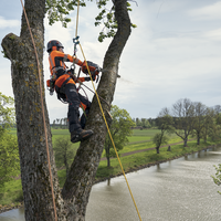 HUSQVARNA T540 XP® Mark III