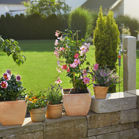 Стартов комплект за саксии S