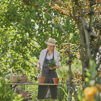 Лопатка EcoLine