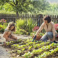 Лопатка combisystem