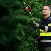 HUSQVARNA 520iHE3