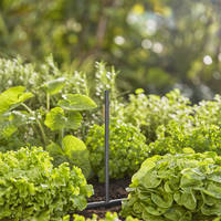 Удължаваща тръба за пръскащи дюзи