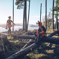 Forest helmet, Technical