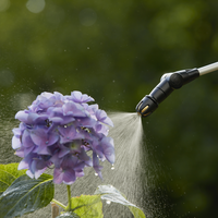 Пръскачка под налягане 5 l Plus