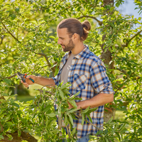 Secateurs PremiumCut Pro​ Flex, Bypass, green wood, 24 mm cutting diameter