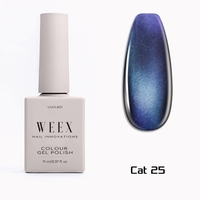 Cat 25