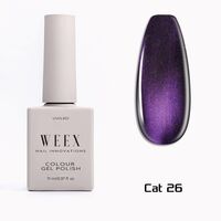 Cat 26
