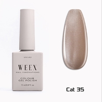 Cat 35
