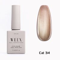 Cat 34