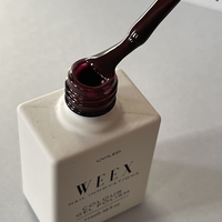 Weex 504