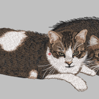 Котета 223