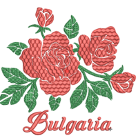 Роза 2565
