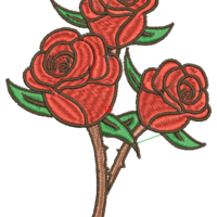 Рози 222