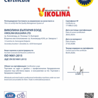 Еволюция на успеха: ISO 9001