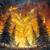 Fire forest