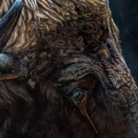 Buffalo