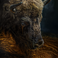 Buffalo
