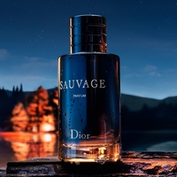 SAUVAGE - МЪЖКИ СПРЕЙ ЗА КОЛА