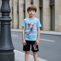 Комплект Соник