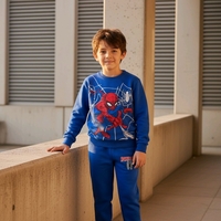 Комплект от две частинСпйдърмен