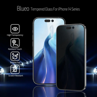BLUEO Full Cover Anti-Peep Glass iPhone 15/16