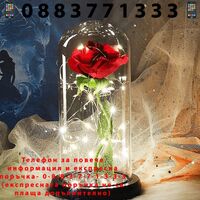 НЕМСКА Светеща роза в стъкленица + ЛЕД ФЕНЕР.