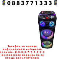 НЕМСКА Тонколона BLUETOOTH 12000W WGT-1222 2x12