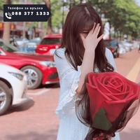 НЕМСКА Гигантска декоративна роза, Червена + ЛЕД ФЕНЕР