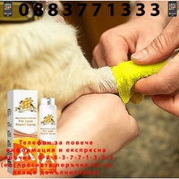 НЕМСКИ Успокояващ спрей за възстановяване на стави, Натурален спрей, За сила и гъвкавост, Облекчаване на дискомфорта при домашни любимци + ЛЕД ФЕНЕР