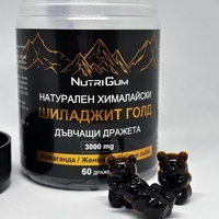 НЕМСКИ Хималайски Шиладжит с Ашваганда, дъвчащи МЕЧЕТА 3000mg 60бр. Shilajit Gold + ЛЕД ФЕНЕР