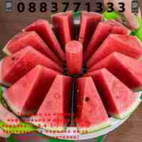 НЕМСКИ Фантастичен кръгъл нож за диня + ЛЕД ФЕНЕР