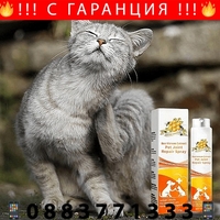 НЕМСКИ Успокояващ спрей за възстановяване на стави, Натурален спрей, За сила и гъвкавост, Облекчаване на дискомфорта при домашни любимци + ЛЕД ФЕНЕР