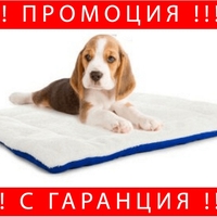 НЕМСКИ Кучешко легло диван от текстил, 54см x 44см x 2,5см, Синьо + ЛЕД ФЕНЕР