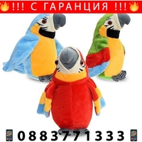 НЕМСКИ Пеещ Повтарящ Папагал Арчи + ЛЕД ФЕНЕР