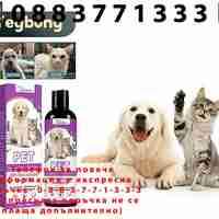 НЕМСКИ Шампоан за домашни любимци, Убиец на бълхи, Омекотяване на козината + ЛЕД ФЕНЕР