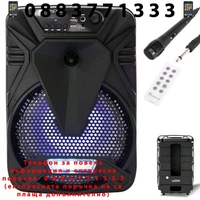 НЕМСКО Активна Bluetooth караоке тонколона 8