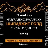 НЕМСКИ Хималайски Шиладжит с Ашваганда, дъвчащи МЕЧЕТА 3000mg 60бр. Shilajit Gold + ЛЕД ФЕНЕР