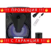 НЕМСКО Активна Bluetooth караоке тонколона 8